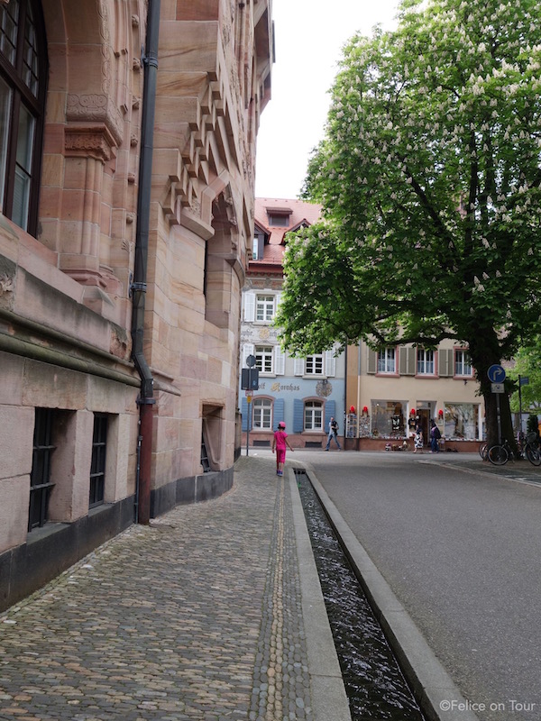 Freiburg3