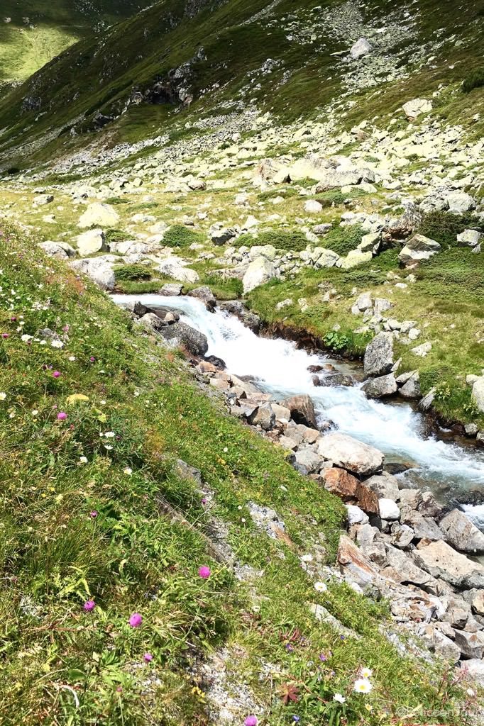 Schweizer Alpenpass Impressionen