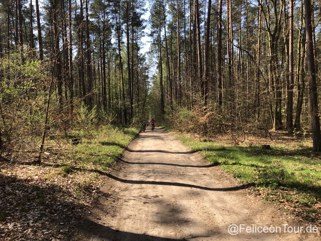 Campingplatz Ecktannen an der Müritz