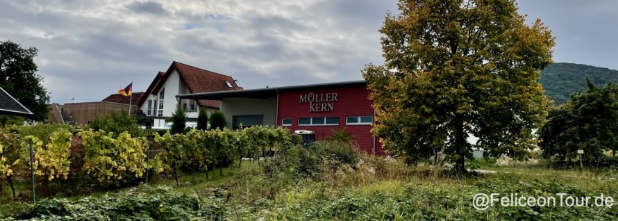 Weingut Müller-Kern